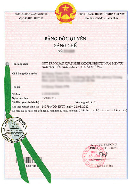 Bằng sáng chế 33485 - 2