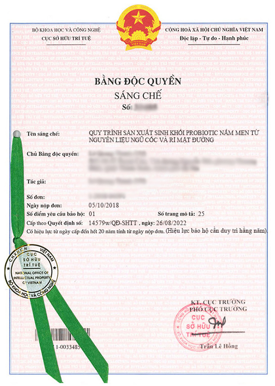 Bằng sáng chế 33485 - 1
